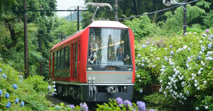 Hakone: Train Pass with Unlimited Rides & Activity Discounts