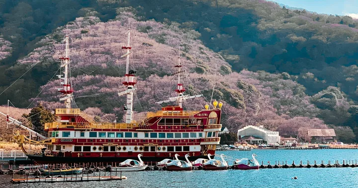 Hakone Private Tour: Bespoke Day from Your Hotel