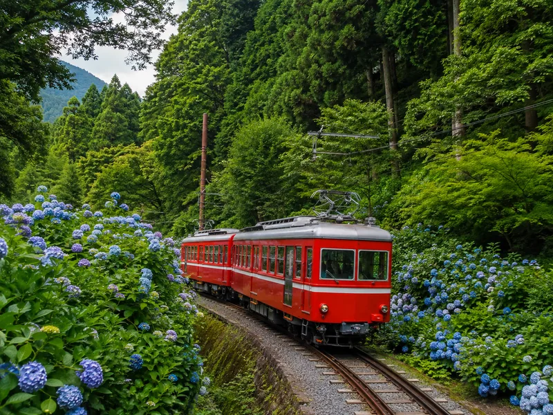 A Hakone Tozan switchback train climbing towards Gora